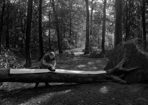 Helmut Heinze: Prägearbeit im Wald, 2015 (Foto: Patrick Fritz)